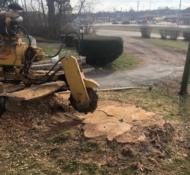 stump grinder